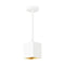 Tech 700TDEXOP624 Exo 6 1-lt 5" LED Pendant, 24" Length, 3500K