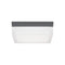 Tech 700OWBXL Boxie Large 1-lt 9" LED Outdoor Wall/Flush Mount