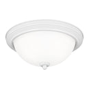 Sea Gull 77064 Geary 2-lt 13" Flush Mount