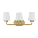 Savoy House 8-4090-3 Capra 3-lt 22" Bath Light