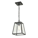 Millennium 8011 Grant 1-lt 9" Outdoor Pendant