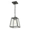 Millennium 8011 Grant 1-lt 9" Outdoor Pendant