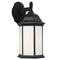 8938751 Sevier 1-lt 8" Downlight Outdoor Wall Lantern, Satin Etched Glass