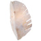 Varaluz 901K02 Banana Leaf 2-lt 17" Tall Wall Sconce