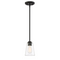 Designers Fountain 95730 Westin 1-lt 5" Mini Pendant