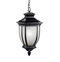 Kichler 9843 Salisbury 1-lt Outdoor Hanging Pendant