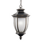 Kichler 9843 Salisbury 1-lt Outdoor Hanging Pendant