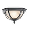 Kichler 9848 Salisbury 2-lt Outdoor Flush Mount