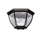 Kichler 9886 2-lt Outdoor Flush Mount