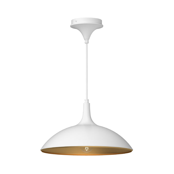Alora Mood PD627914 Abel 1-lt 14" Pendant