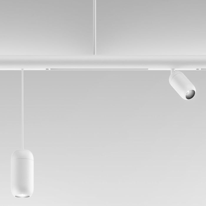 Artemide-Gople System