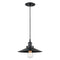 Matteo C46111 Bulstrode's Workshop 1-lt 10" Pendant