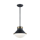 Matteo C66302 Notting 2-lt 12" Pendant