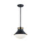 Matteo C66302 Notting 2-lt 12" Pendant
