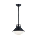 Matteo C66302 Notting 2-lt 12" Pendant