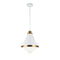 Matteo C70803 Lloyd 1-lt 12" Pendant