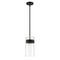 Designers Fountain D222M Midnight LA 1-lt 6" Pendant