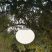 Bover Elipse S/50 1-lt 20" LED Outdoor Pendant, TRIAC