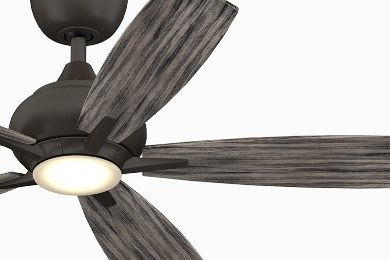 Fanimation FP8533 Doren 52" Ceiling Fan with LED Light Kit