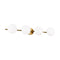Generation EV1014 Lune 4-lt 37" LED Vanity Light