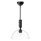 Alora Mood PD563012 Jude 1-lt 12" Pendant