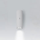 Artemide Calumet 13 Single LED Outdoor Wall Light