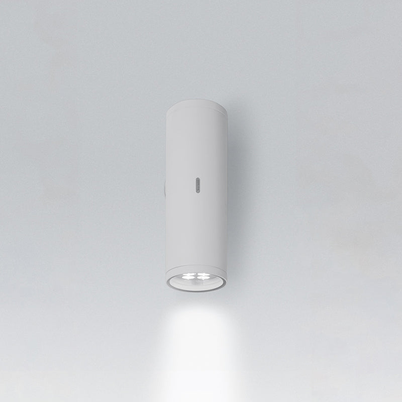 Artemide Calumet 13 Single LED Outdoor Wall Light