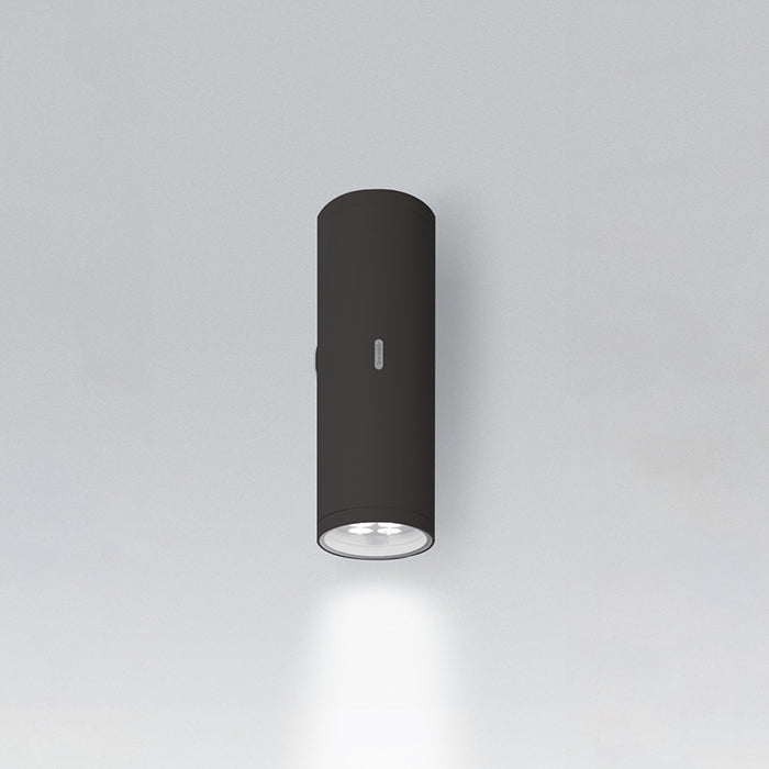 Artemide Calumet 13 Single LED Outdoor Wall Light