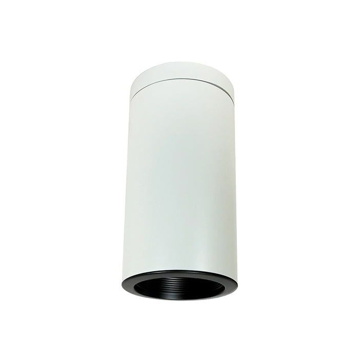 NYLI6SI2 6" Cylinder - Surface, Baffle Trim