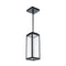 dweLED PD-W17216 Amherst 1-lt 6" LED Outdoor Pendant