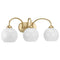 Progress P300086 Carisa 3-lt 25" Bath Vanity Light