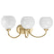 Progress P300086 Carisa 3-lt 25" Bath Vanity Light