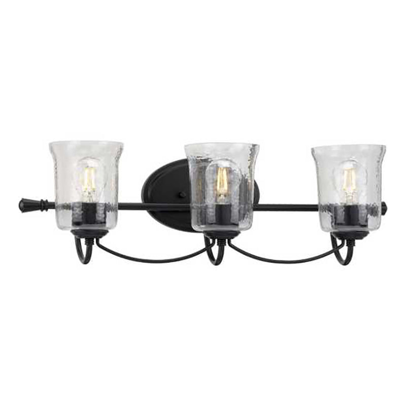 Progress P300255 Bowman 3-lt 25" Bath Vanity Light
