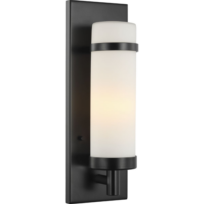 Progress P710087 Hartwick 1-lt 14" Tall Wall Sconce