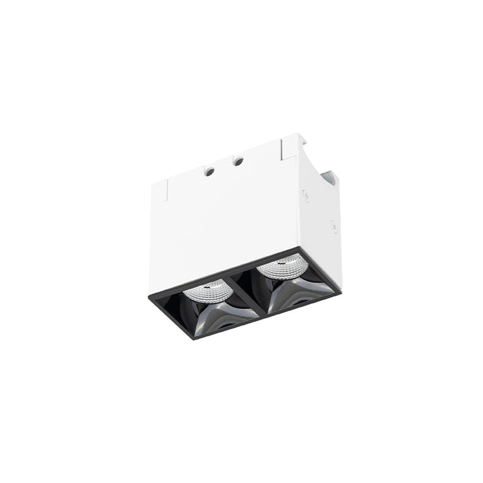 WAC R1GDL02 Multi Stealth 2 Cell Downlight Trimless