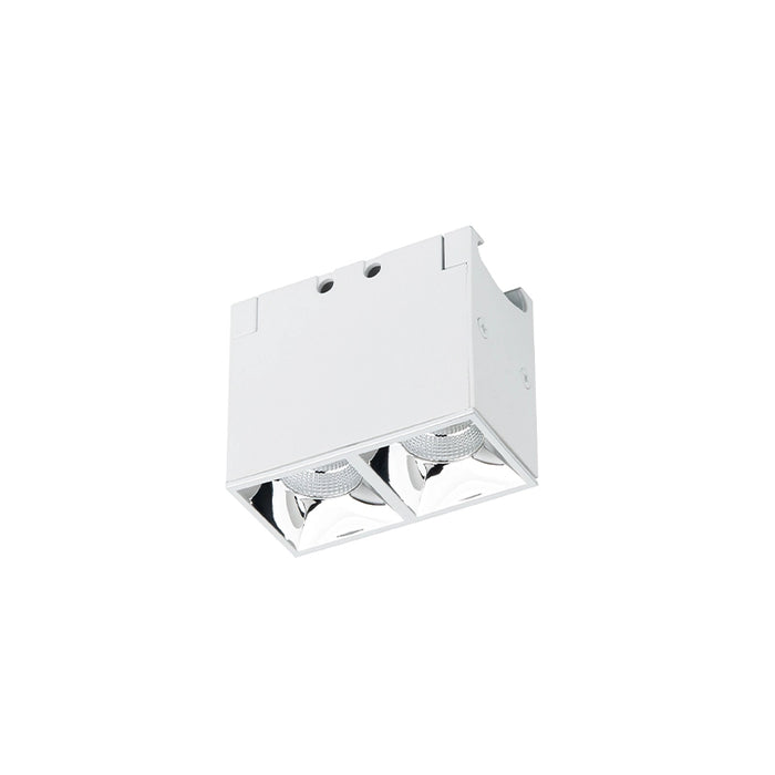 WAC R1GDL02 Multi Stealth 2 Cell Downlight Trimless