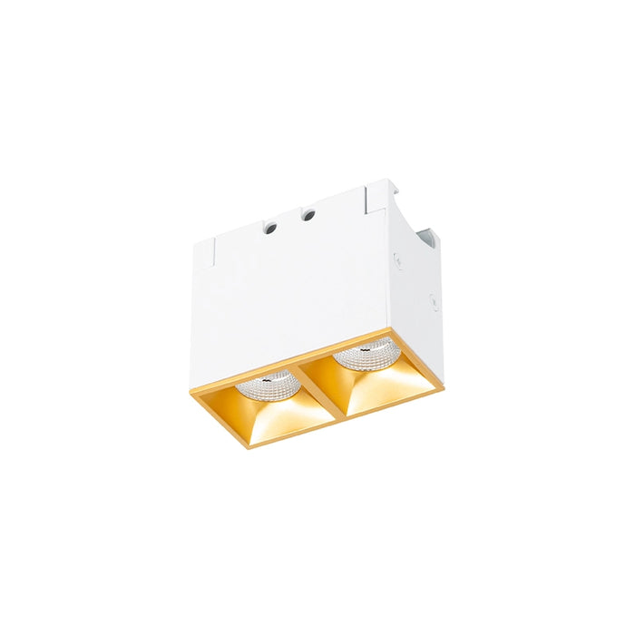 WAC R1GDL02 Multi Stealth 2 Cell Downlight Trimless