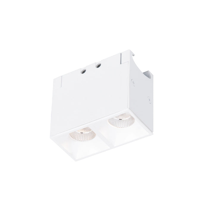 WAC R1GDL02 Multi Stealth 2 Cell Downlight Trimless