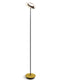 Koncept RYO-SW-MTB Royyo LED Floor Lamp, Matte Black Body