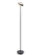 Koncept RYO-SW-MTB Royyo LED Floor Lamp, Matte Black Body