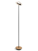 Koncept RYO-SW-MTB Royyo LED Floor Lamp, Matte Black Body