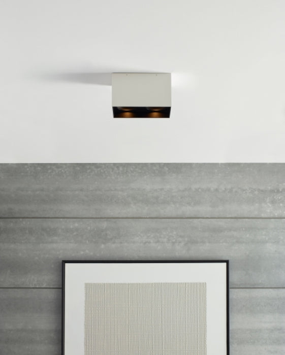 Tech 700FMEXOD6 Exo Dual 10" LED Ceiling Light, 2700K