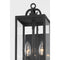 Troy B2061 Caiden 2-lt 17" Tall Outdoor Wall Sconce
