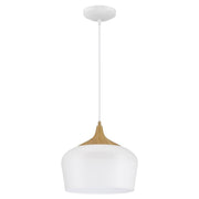Access 52057 Blend 11" LED Pendant - LBC Lighting