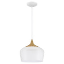 Access 52057 Blend 11" LED Pendant - LBC Lighting