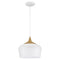 Access 52057 Blend 11" LED Pendant - LBC Lighting