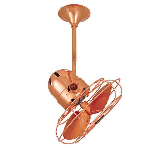 Matthews Fan Bianca Direcional 13" Ceiling Fan with Decorative Cage - Black