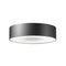 Axo UPSKI160 Skin 5-lt 63" Flush Mount