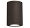 WAC DS-CD05 Tube Architectural 5" LED Outdoor Ceiling Mount, 25W
