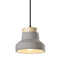Matteo C53206 Industrial 1-lt 8" Pendant